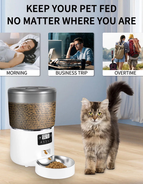 Load image into Gallery viewer, Automatic Cat Feeder, 4L Dual Power Pet Feeder Automatic Dry Food Dispenser, Control 1-4 Meals a Day, Automatic Dog Feeder
