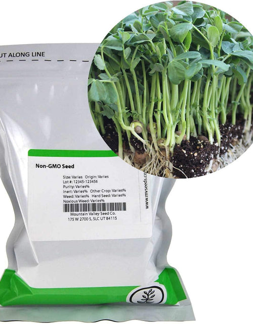 Load image into Gallery viewer, Speckled Pea Sprouting Seeds - 5 Lbs - Certified Organic, Non-Gmo Green Pea Sprout Seeds - Sprouts &amp; Microgreens
